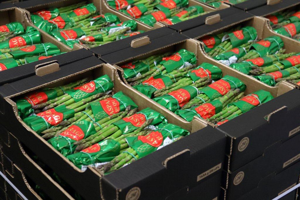 Taglio asparagi