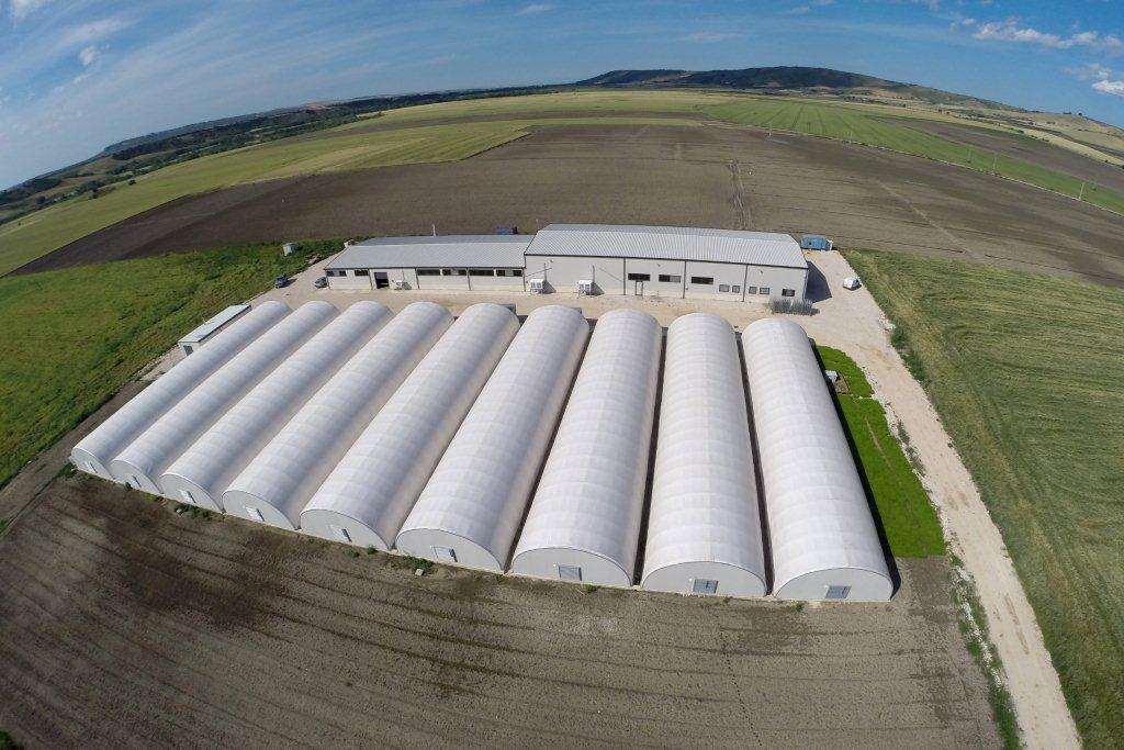 Azienda Luila Funghi - Foto 1